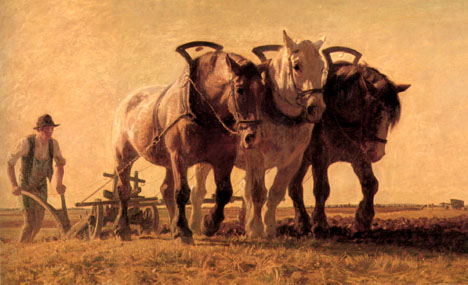 Plowing